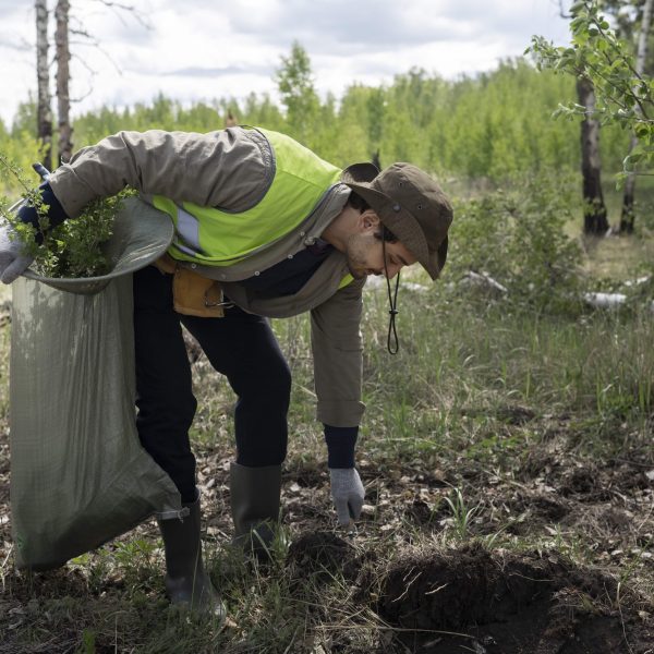 reforestacion-realizada-grupo-voluntario (1)-min